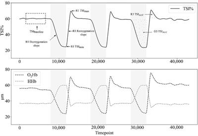 Effects of occlusion pressure on hemodynamic responses recorded by near-infrared spectroscopy across two visits